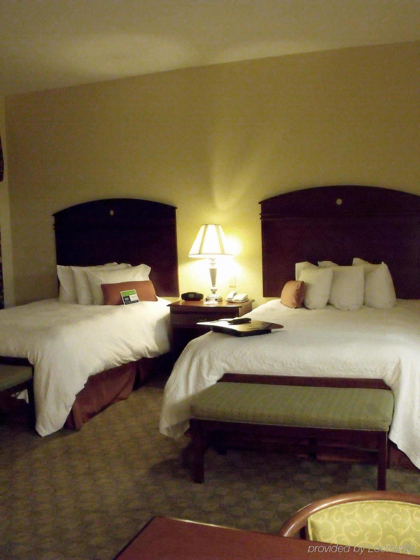 Hampton Inn & Suites Lubbock Pokoj fotografie